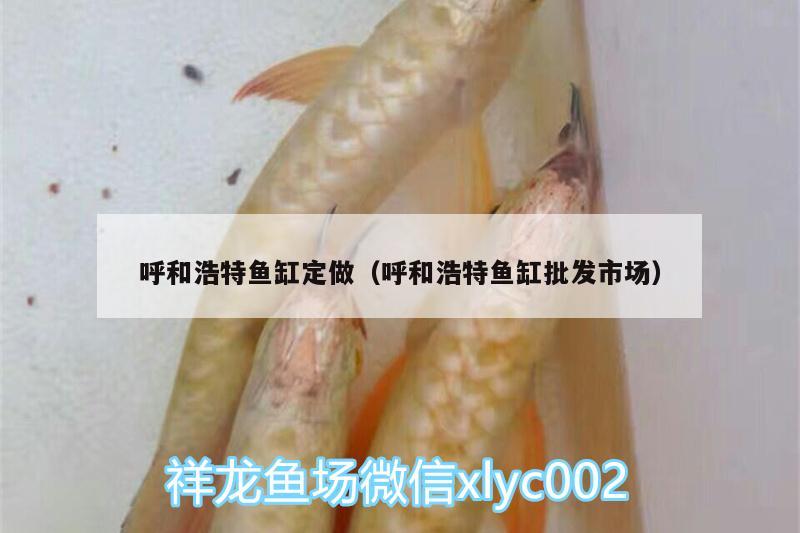 呼和浩特鱼缸定做（呼和浩特鱼缸批发市场）