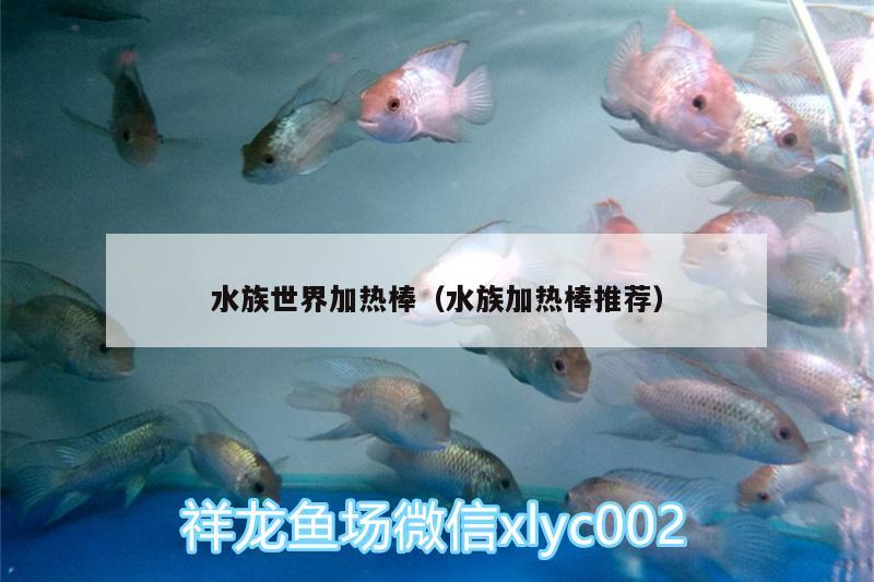 水族世界加热棒（水族加热棒推荐）