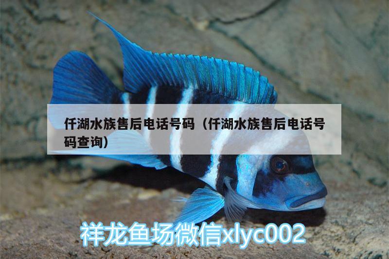 仟湖水族售后电话号码（仟湖水族售后电话号码查询）