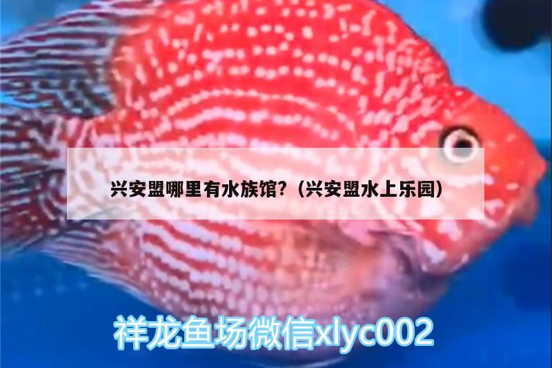 兴安盟哪里有水族馆?（兴安盟水上乐园）