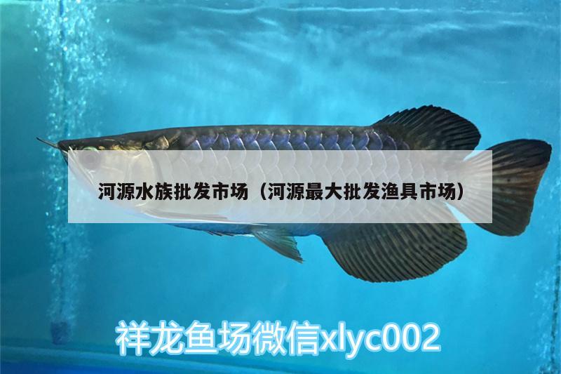 河源水族批发市场（河源最大批发渔具市场） 观赏鱼水族批发市场 第2张