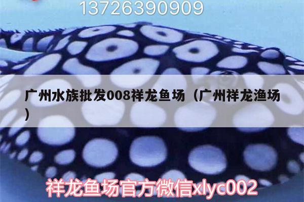 广州水族批发008祥龙鱼场（广州祥龙渔场） 祥龙鱼场 第1张