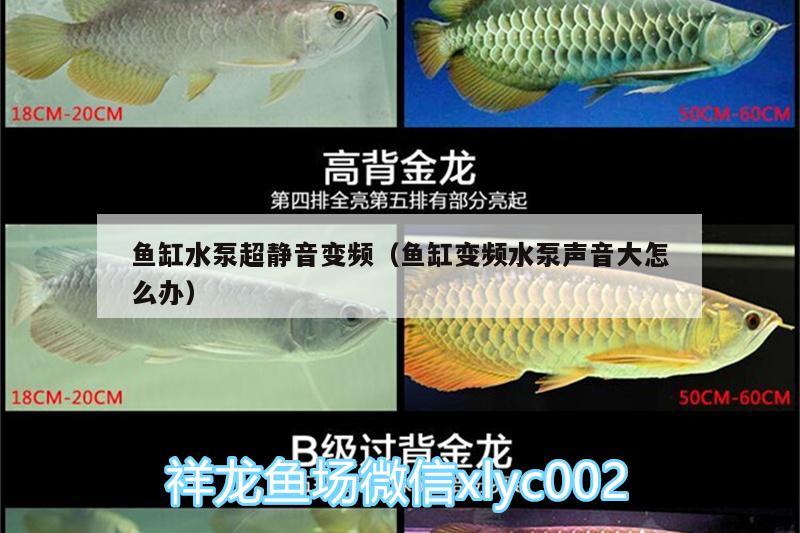 鱼缸水泵超静音变频（鱼缸变频水泵声音大怎么办） 鱼缸水泵 第2张