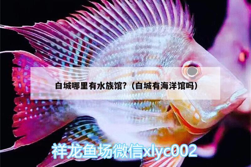 白城哪里有水族馆?（白城有海洋馆吗）