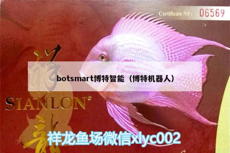 botsmart博特智能（博特机器人）