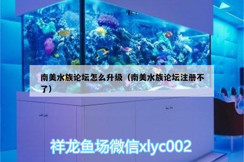 南美水族论坛怎么升级（南美水族论坛注册不了）