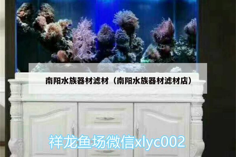 南阳水族器材滤材（南阳水族器材滤材店） 过背金龙鱼 第3张