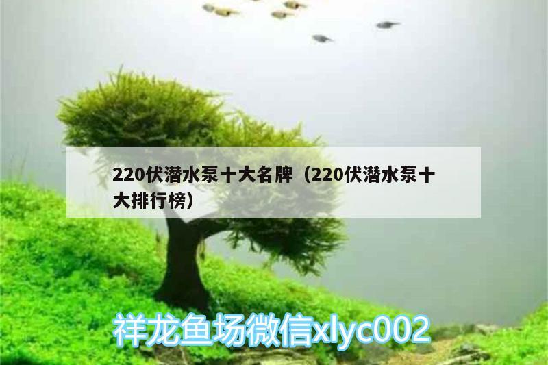 220伏潜水泵十大名牌（220伏潜水泵十大排行榜）