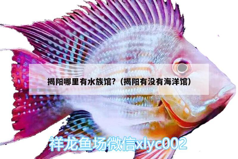 揭阳哪里有水族馆?（揭阳有没有海洋馆）