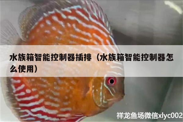 水族箱智能控制器插排（水族箱智能控制器怎么使用） 鱼缸/水族箱 第2张