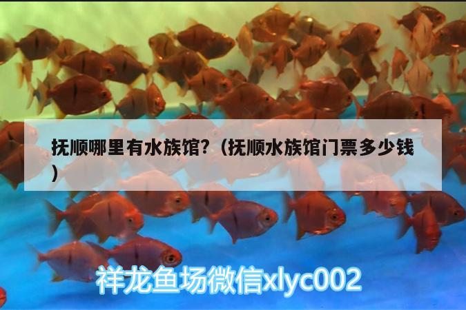 抚顺哪里有水族馆?（抚顺水族馆门票多少钱） 观赏鱼市场 第1张