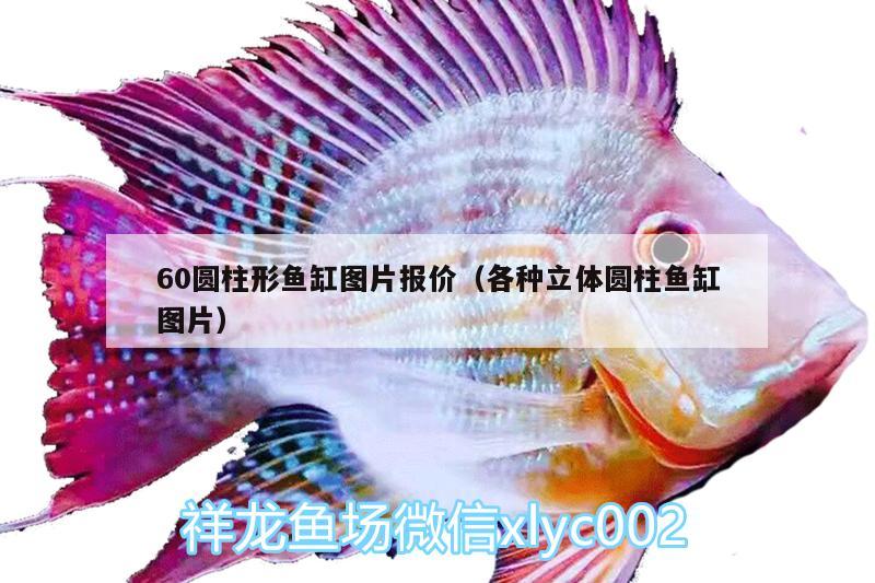 60圆柱形鱼缸图片报价（各种立体圆柱鱼缸图片） 红尾平克鱼 第2张