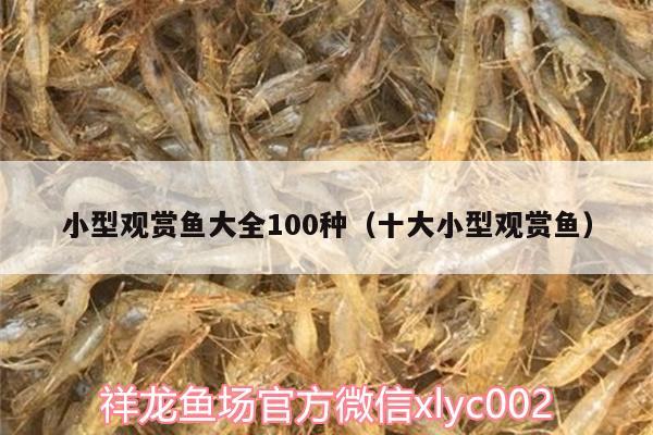 小型观赏鱼大全100种（十大小型观赏鱼）