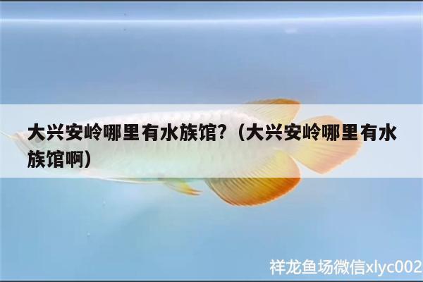 大兴安岭哪里有水族馆?（大兴安岭哪里有水族馆啊）