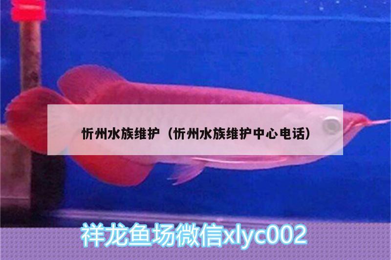 忻州水族维护（忻州水族维护中心电话） 温控设备 第3张