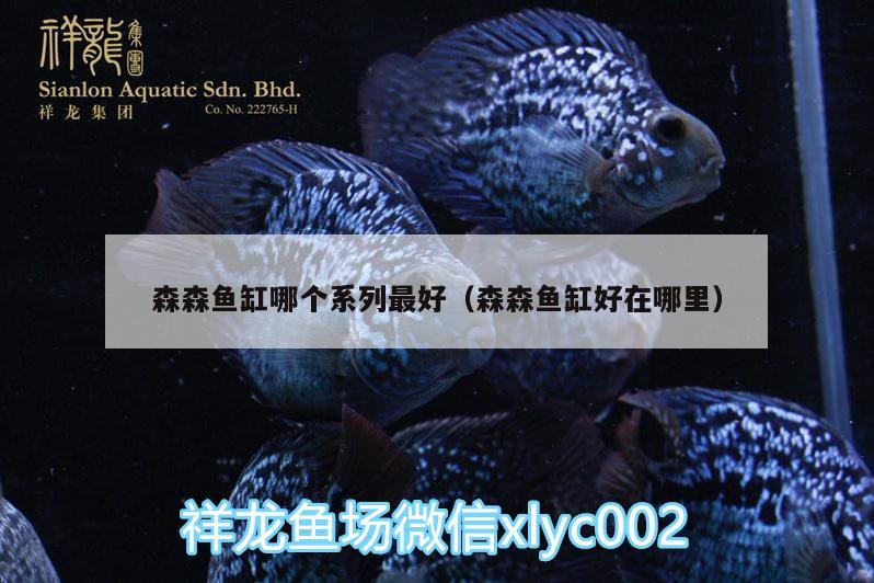 森森鱼缸哪个系列最好（森森鱼缸好在哪里） 观赏鱼水族批发市场 第1张