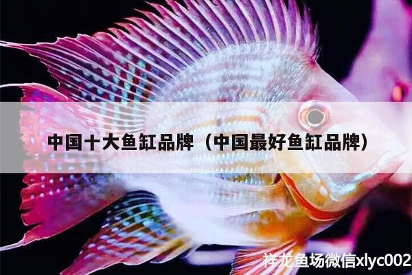 中国十大鱼缸品牌（中国最好鱼缸品牌） 羽毛刀鱼苗 第2张