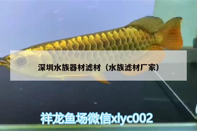 深圳水族器材滤材（水族滤材厂家） 福魟魟鱼 第2张