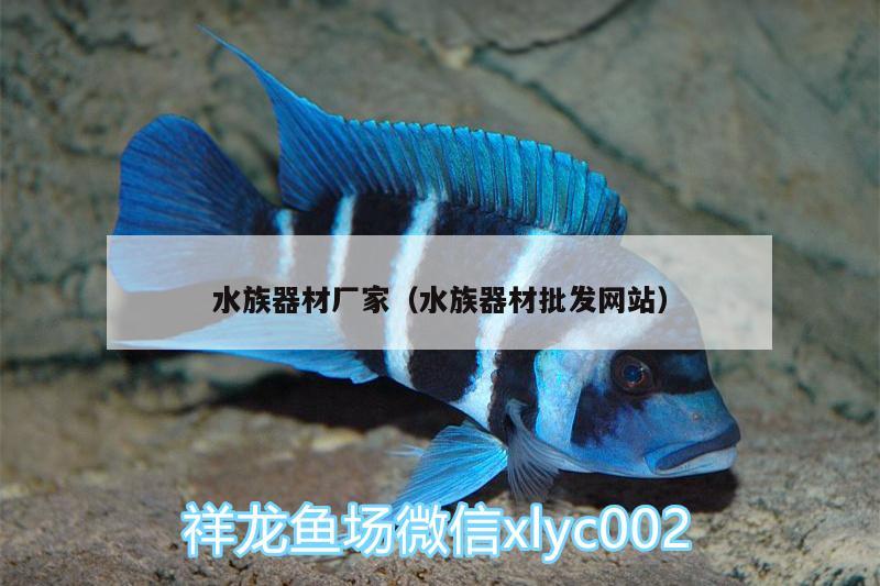 水族器材厂家（水族器材批发网站）