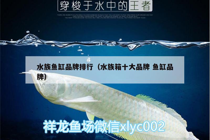 水族鱼缸品牌排行（水族箱十大品牌鱼缸品牌） 鱼缸/水族箱 第3张