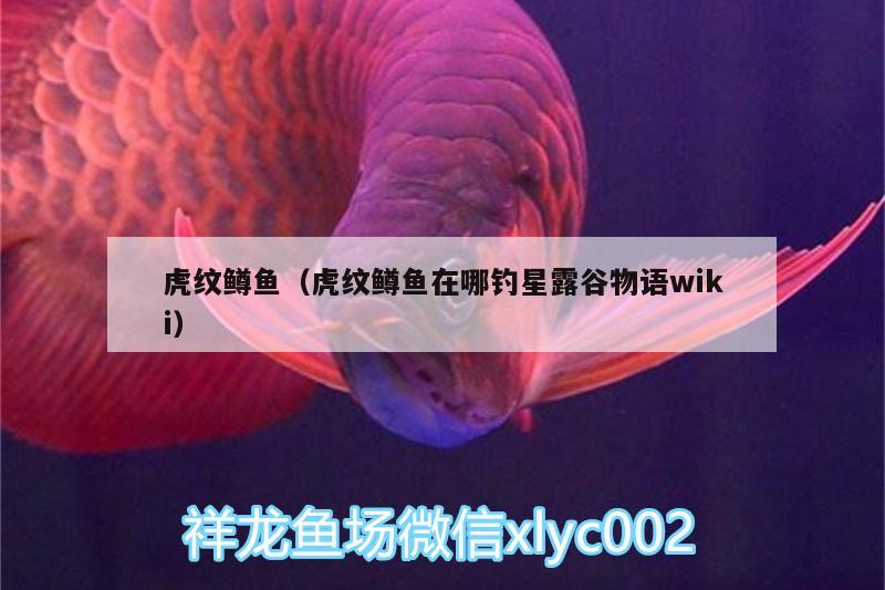 虎纹鳟鱼（虎纹鳟鱼在哪钓星露谷物语wiki） 垂钓乐园 第2张