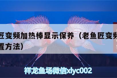 老鱼匠变频加热棒显示保养（老鱼匠变频加热棒设置方法）