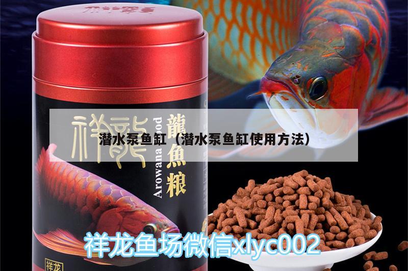 潜水泵鱼缸（潜水泵鱼缸使用方法） 麦肯斯银版鱼 第2张