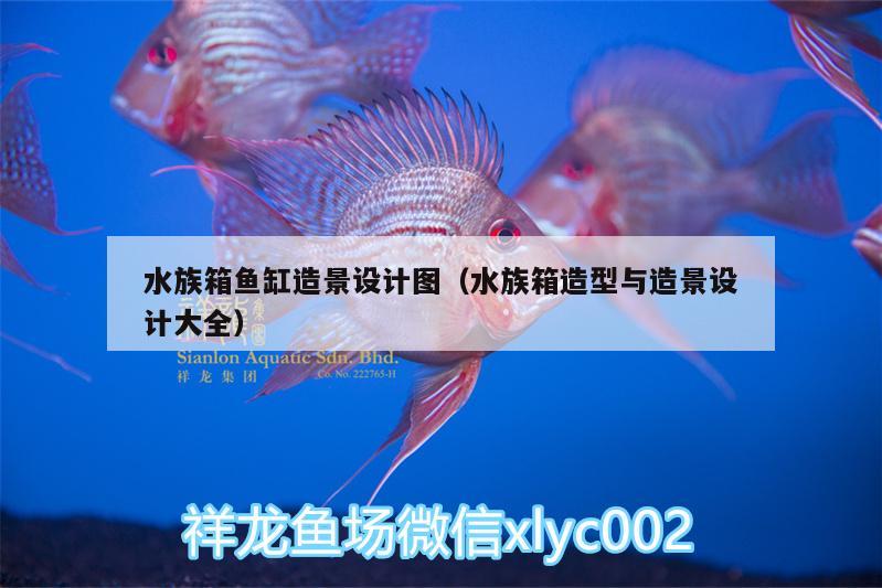 水族箱鱼缸造景设计图（水族箱造型与造景设计大全）