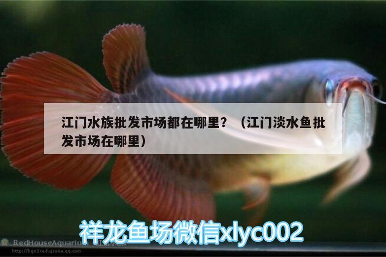 江门水族批发市场都在哪里？（江门淡水鱼批发市场在哪里）