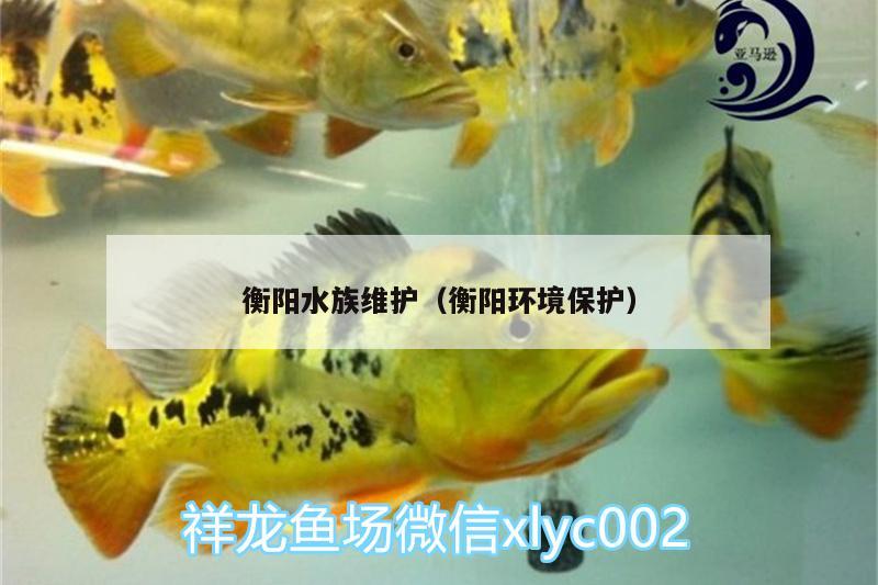 衡阳水族维护（衡阳环境保护） PH调节剂 第2张