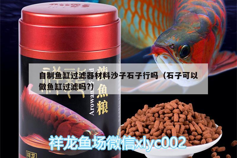 自制鱼缸过滤器材料沙子石子行吗（石子可以做鱼缸过滤吗?） 帝王三间鱼 第3张