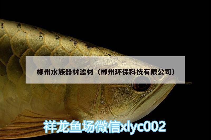 郴州水族器材滤材（郴州环保科技有限公司） 新加坡号半红龙鱼（练手级红龙鱼） 第2张