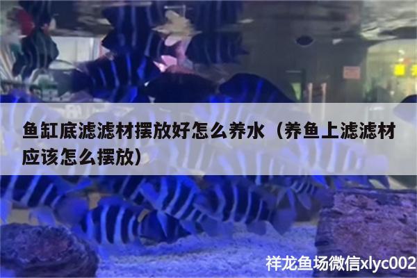 鱼缸底滤滤材摆放好怎么养水（养鱼上滤滤材应该怎么摆放）