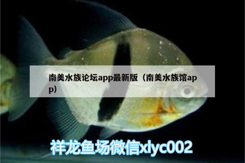 南美水族论坛app最新版（南美水族馆app） 肥料 第3张