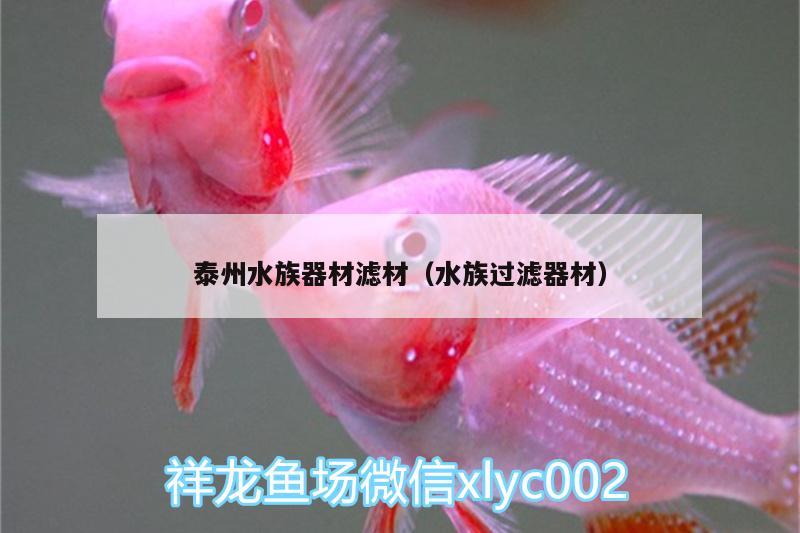 泰州水族器材滤材（水族过滤器材） 龙鱼芯片扫码器 第3张