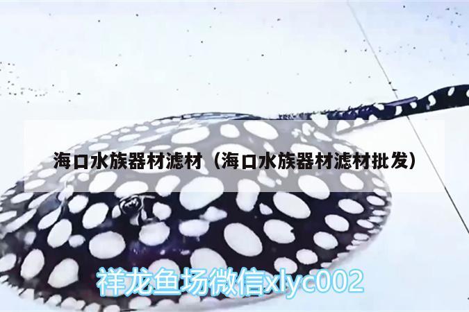 海口水族器材滤材（海口水族器材滤材批发） 金头过背金龙鱼 第3张