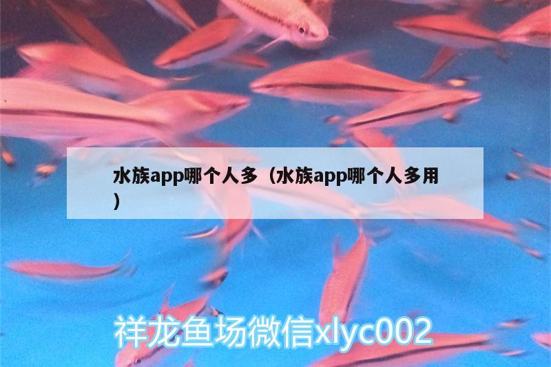 水族app哪个人多（水族app哪个人多用）