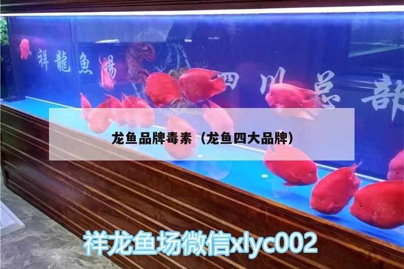 龙鱼品牌毒素（龙鱼四大品牌） 水族用品 第1张