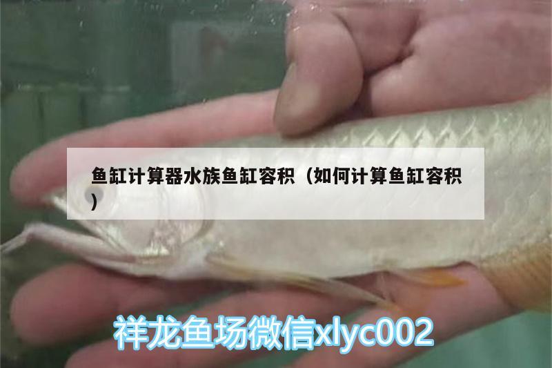 鱼缸计算器水族鱼缸容积（如何计算鱼缸容积） BD魟鱼 第2张