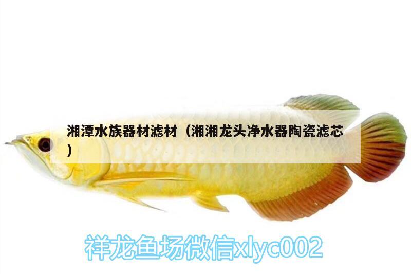 湘潭水族器材滤材（湘湘龙头净水器陶瓷滤芯） 狗头鱼 第3张