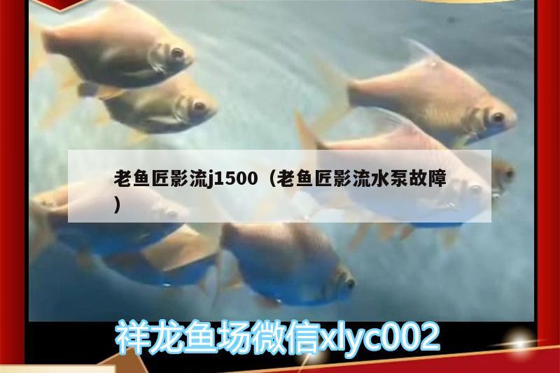 老鱼匠影流j1500（老鱼匠影流水泵故障）