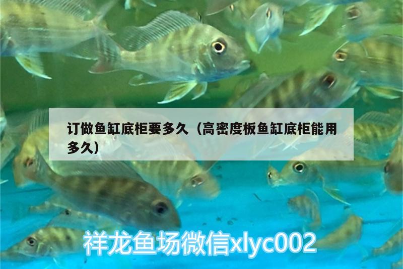 订做鱼缸底柜要多久（高密度板鱼缸底柜能用多久） 龙鱼专用灯 第1张