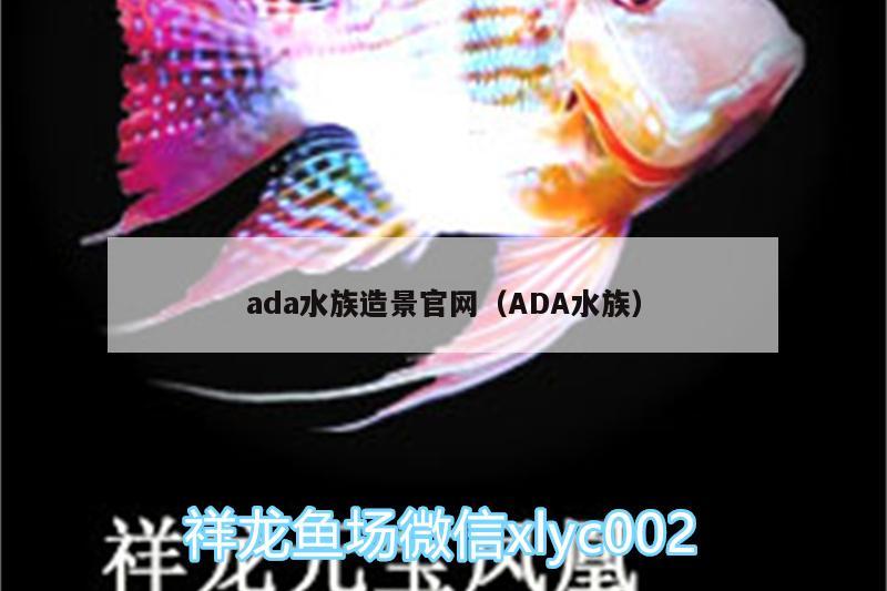 ada水族造景官网（ADA水族）