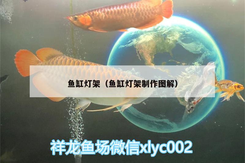 鱼缸灯架（鱼缸灯架制作图解） 祥龙水族护理水