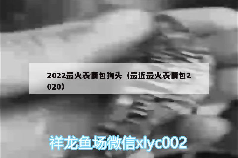 2022最火表情包狗头（最近最火表情包2020）