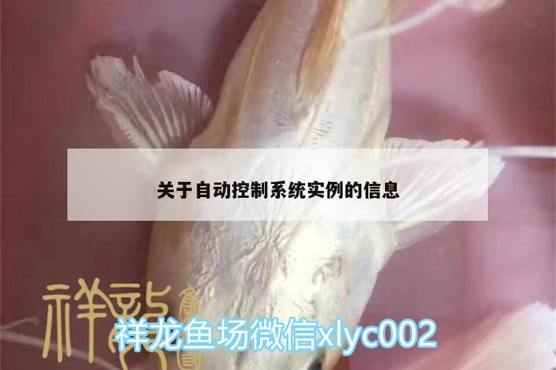 关于自动控制系统实例的信息 鱼缸等水族设备