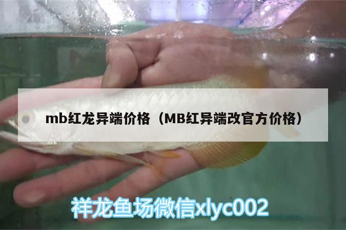 mb红龙异端价格（MB红异端改官方价格）