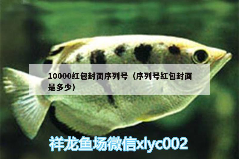 10000红包封面序列号（序列号红包封面是多少）