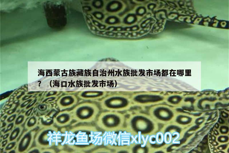 海西蒙古族藏族自治州水族批发市场都在哪里？（海口水族批发市场）