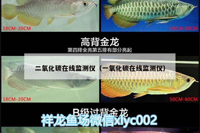 二氧化碳在线监测仪（一氧化碳在线监测仪）